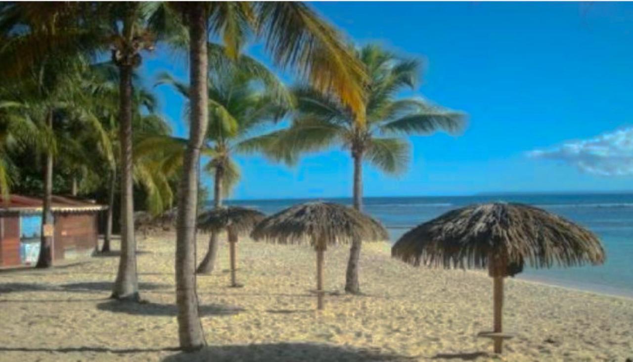 Le 35 Anse Des Rochers Saint-Francois Exterior foto
